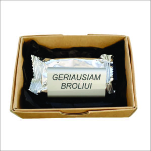 AUTO KVAPAS Į GROTELES „GERIAUSIAM BROLIUI“