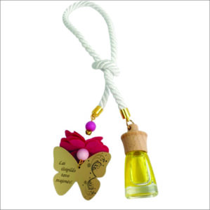 AUTOMOBILIO PAKABUKAS SU DRUGELIU „LAI IŠSIPILDO VISOS SVAJONĖS“